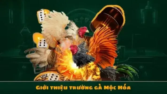 da-ga-moc-hoa-01