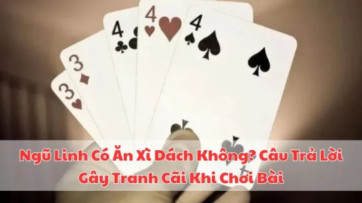 ngu-linh-co-an-xi-dach-khong