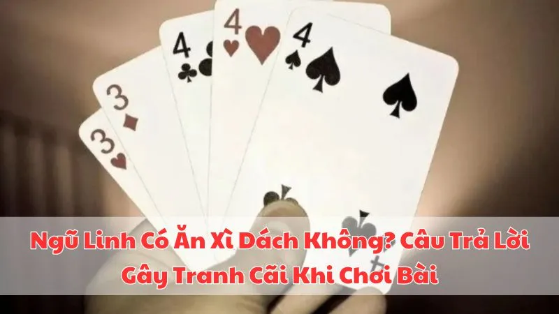 ngu-linh-co-an-xi-dach-khong